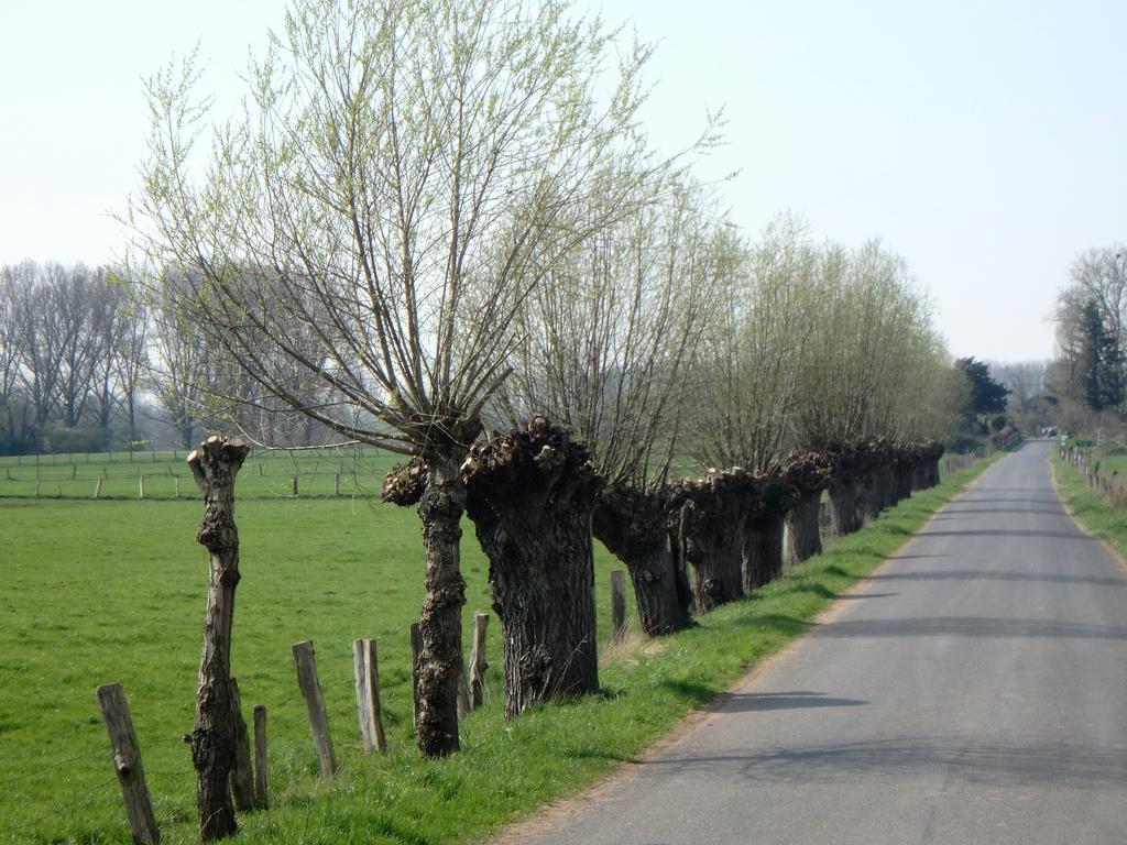 Ferienwohnung Knusperhaus Xanten Zewnętrze zdjęcie